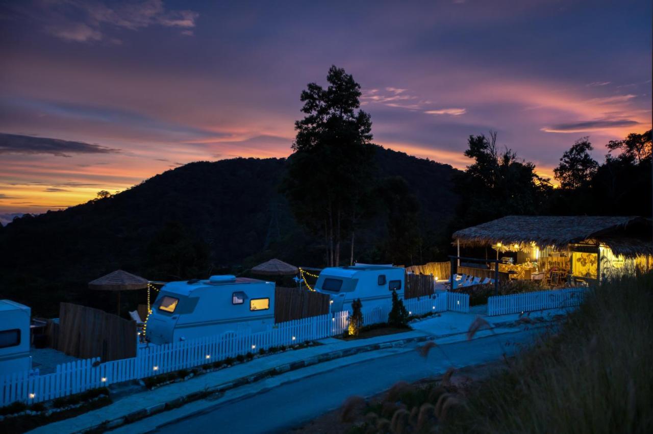 Campsite Stellar Goldenhill Cameron