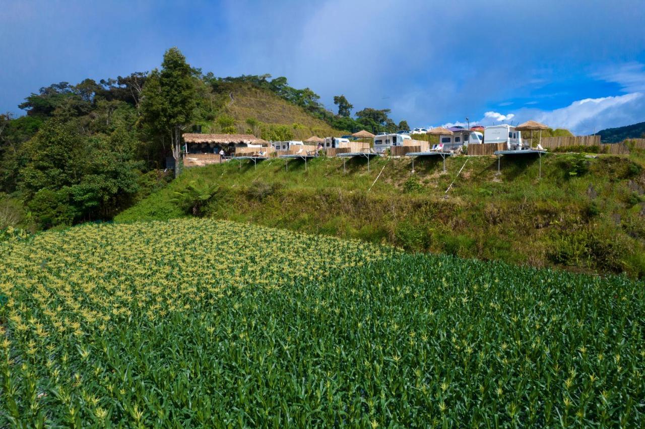 Stellar Goldenhill Cameron Campsite Tanah Rata
