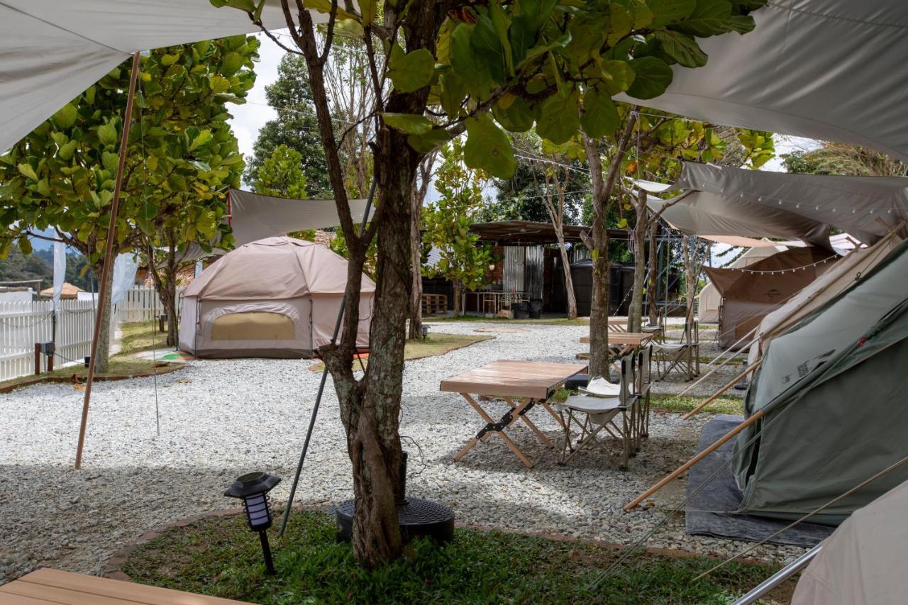 Campsite Stellar Goldenhill Cameron Tanah Rata